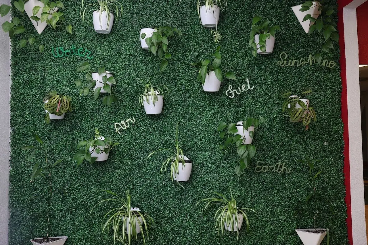 The hand-lettered living plant wall inside the studio